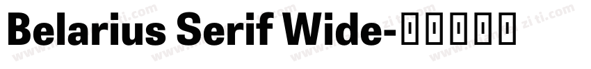 Belarius Serif Wide字体转换